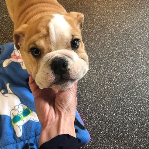 Meet your Posher, Amy